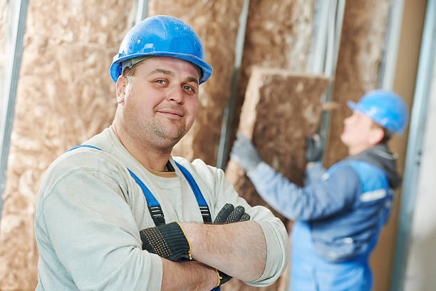 Best Basement Insulation  in Green Forest, AR